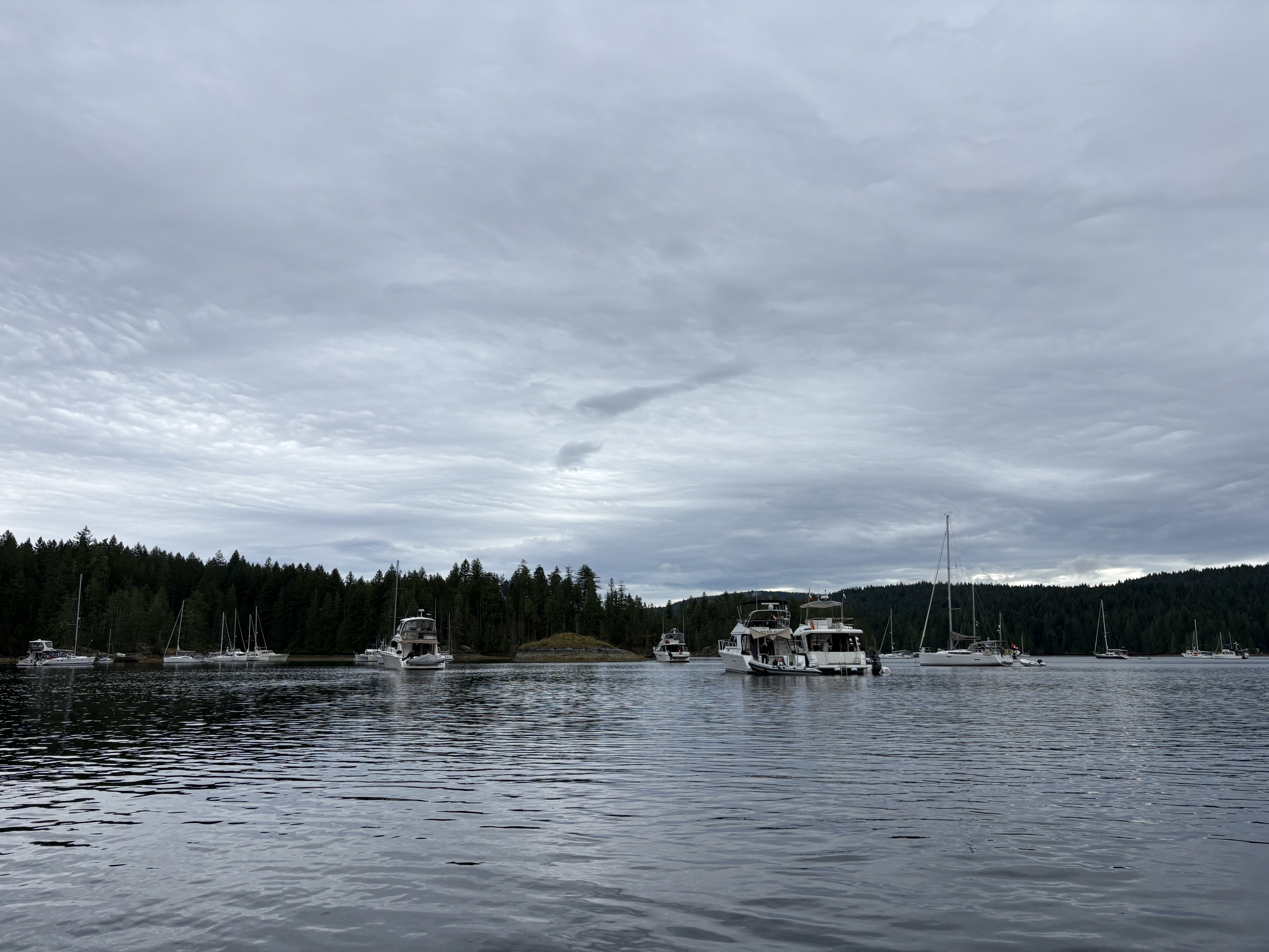 squirrel cove flotilla