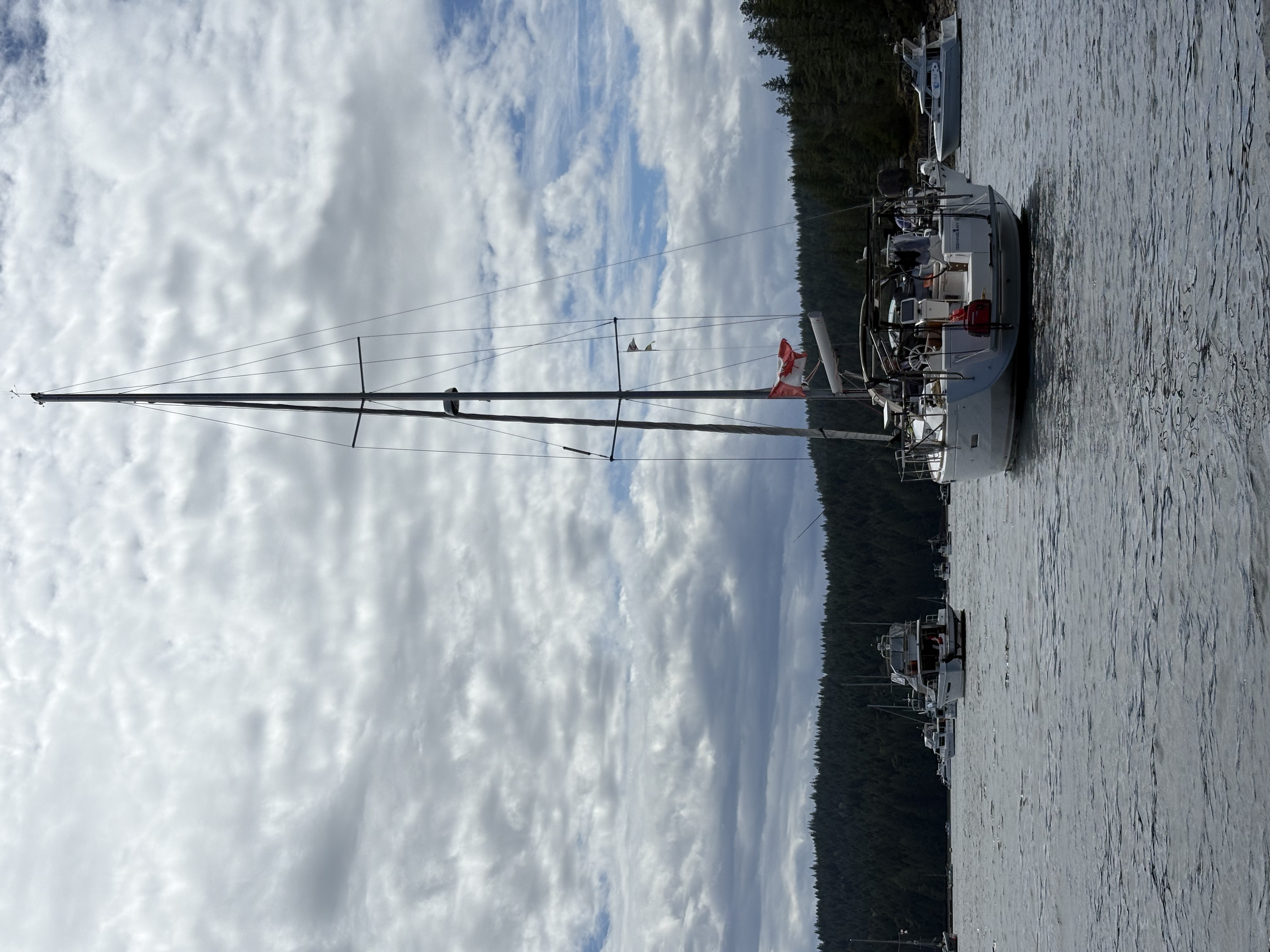 squirrel cove afternoon