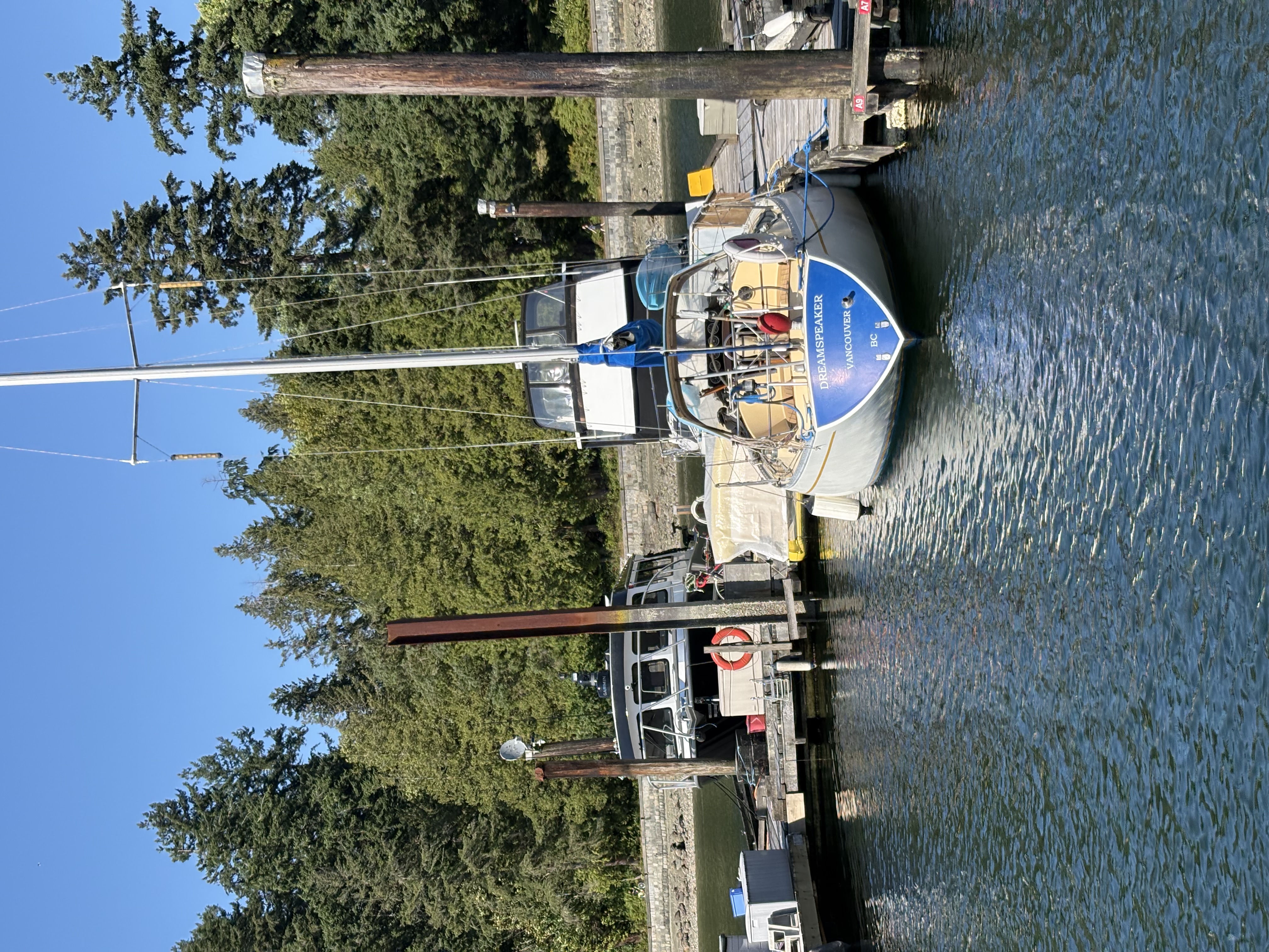 dreamspeaker vrc marina