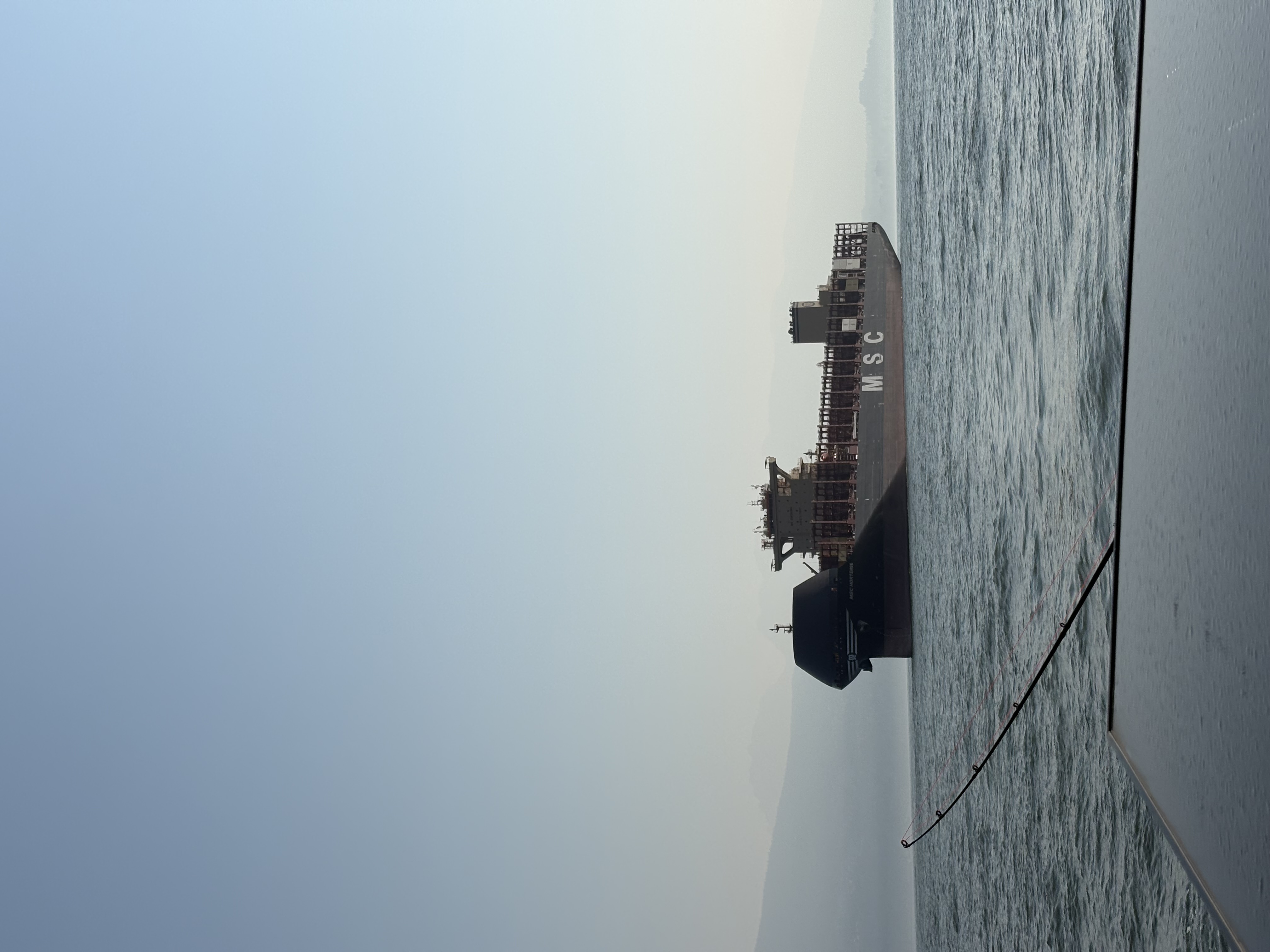msc container ship
