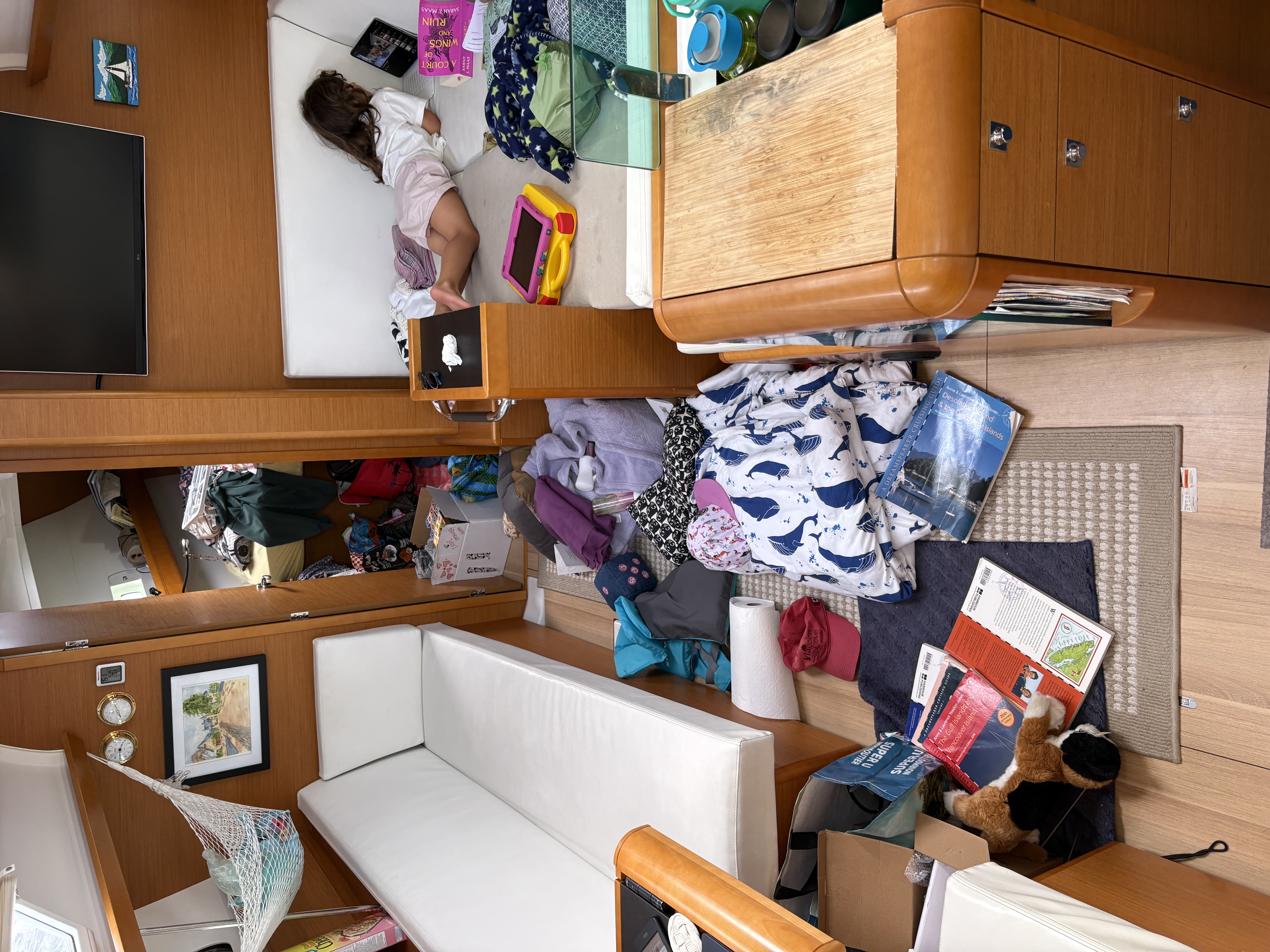 chaos in the cabin
