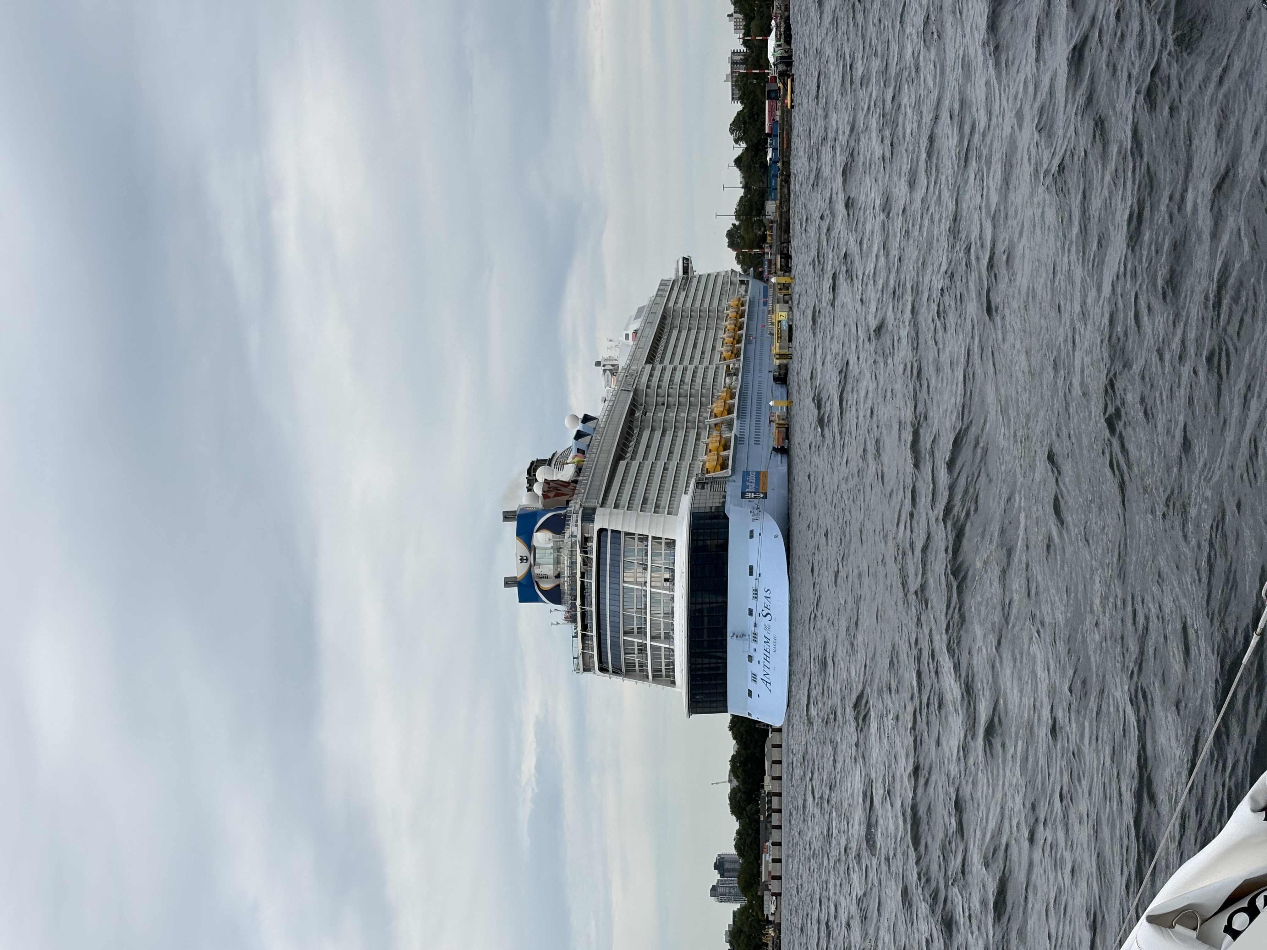 anthem of the seas