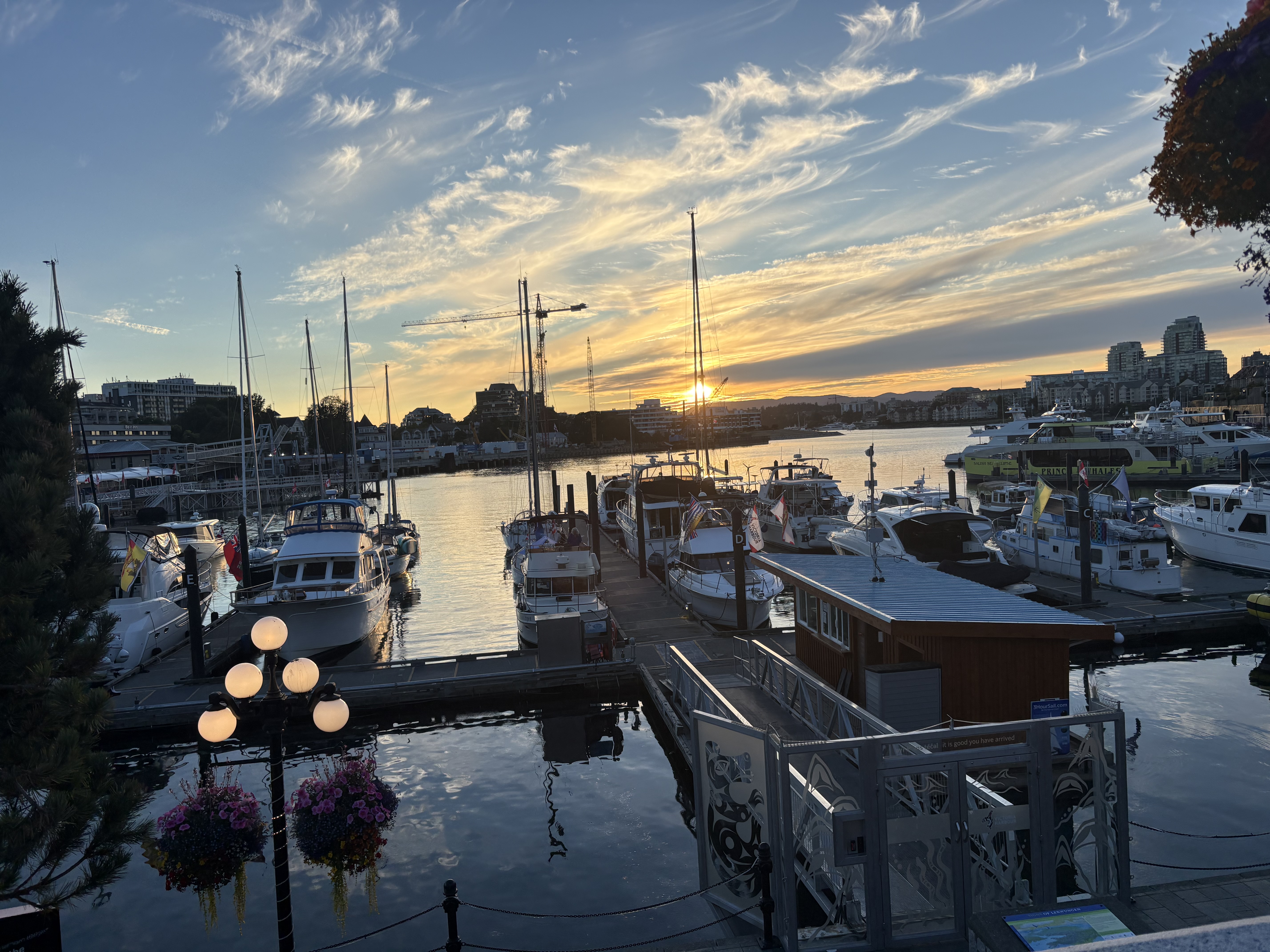 golden hour marina